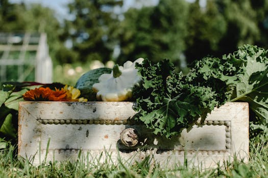 fresh vegetables from local farms