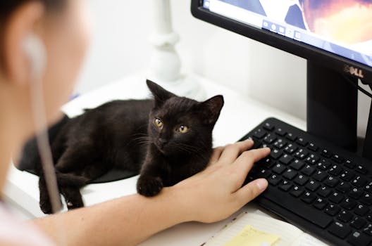 a person typing a domain name into a computer